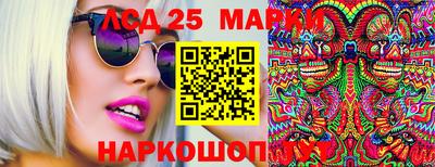 гидропоника Тула