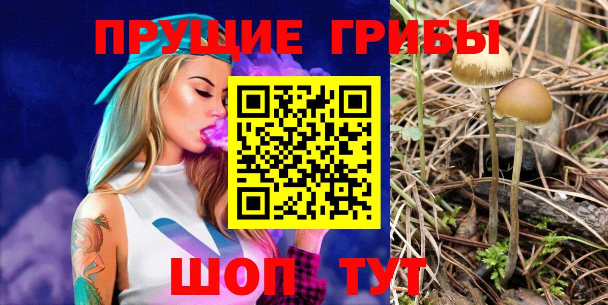 Обь  Псилоцибиновые грибы Magic Shrooms  где найти   Вход с VPN 