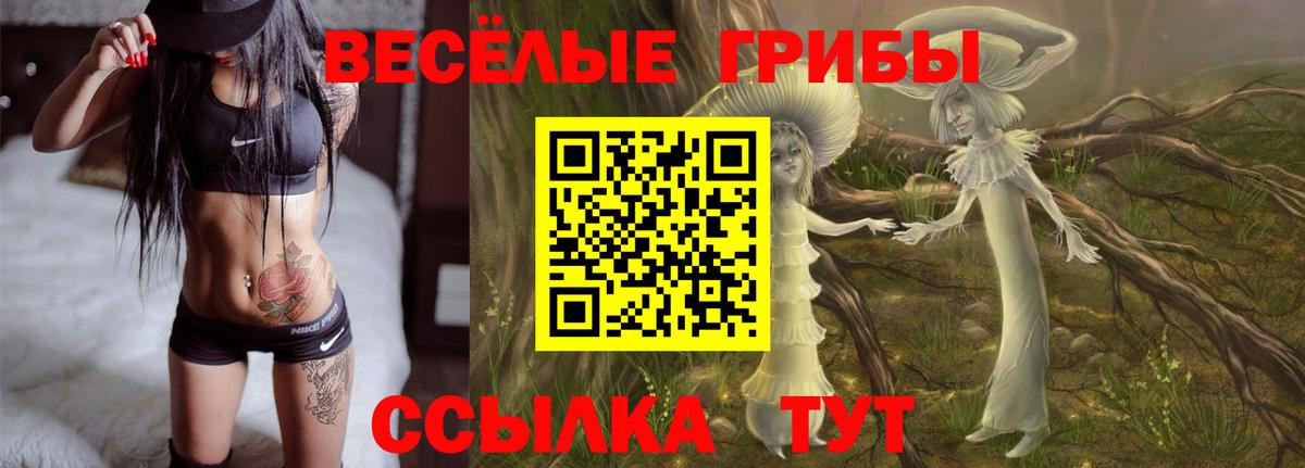Псилоцибиновые грибы мухоморы Обь